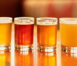 Beer Basics Course