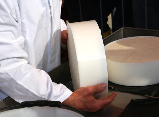 Food hygiene level 2 - cheesemongers